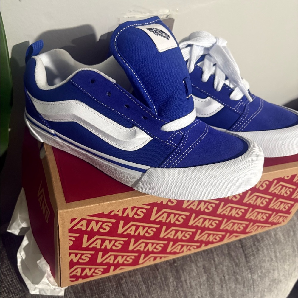 Vans Royal Blue and White Skate Shoes